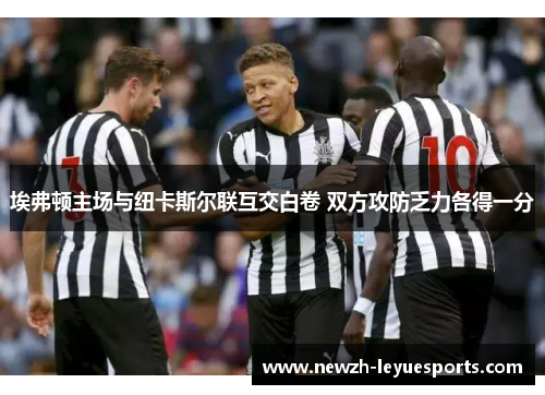 埃弗顿主场与纽卡斯尔联互交白卷 双方攻防乏力各得一分